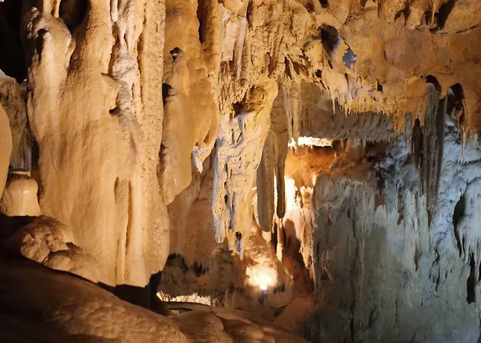 Aux Armes De Belgique Hotell