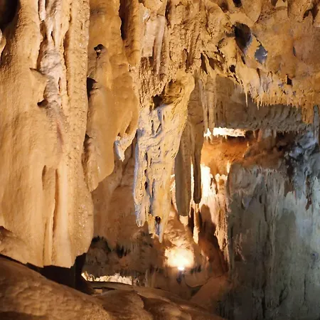 Aux Armes De Belgique Hotel